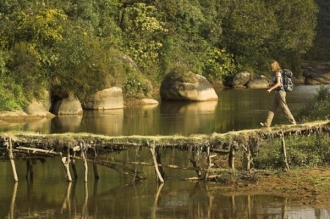 Madagaskarský prales patří mezi nejvzácnější ekosystémy na planetě.