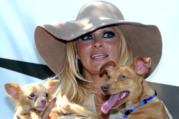 Americká sexbomba Pamela Andersonová.