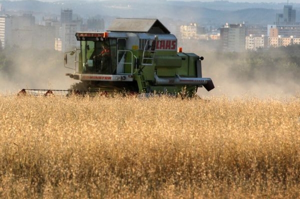 Ceny komodit na Plodinové burze Brno skokově vzrostly.