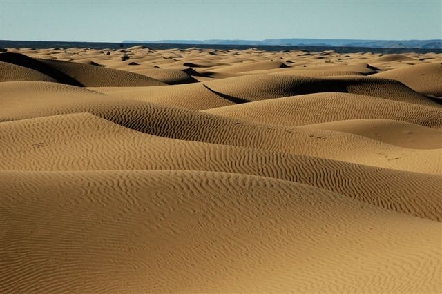 Dávná pravlast nacistické zrůdy? Severní Afrika.