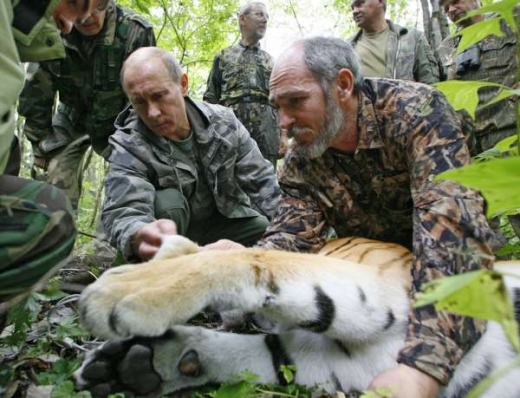 Putin s tygrem.