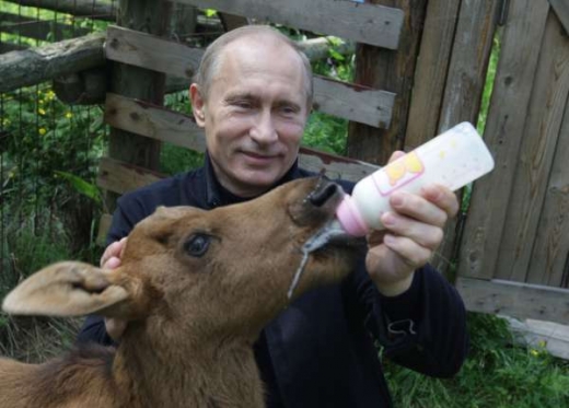 Putin s losím mládětem.