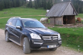 Setkání koní s koňskými silami na rumunské planině.