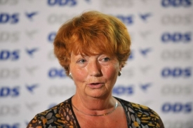 Marie Kousalíková chystá nové lavičky.