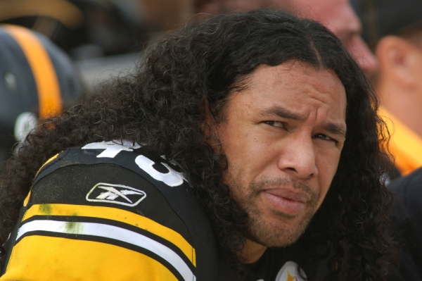 Troy Polamalu a jeho bujná hříva v hodnotě milionu dolarů.