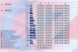 Zadní strana řidičáku, který bude jediný platný od 2014.