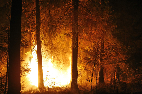 Do půle srpna zabily požáry přes padesát lidí.