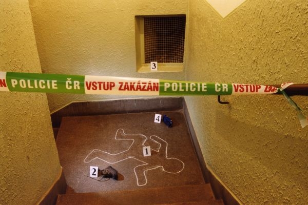 Tragédie se stala v Brně, kde manželé bydleli.