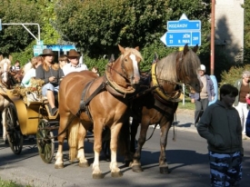 Koňský povoz jako turistická atrakce.