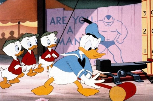 Kačer Donald obdržel ve švédských volbách 123 hlasů.