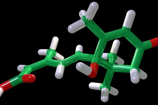 Laureáti Nobelovy ceny za chemii usnadnili tvorbu složitých organických látek.