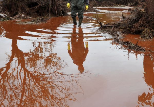 Toxický kal, který unikl při pondělním protržení nádrže u hliníkárny v Maďarsku, pronikl do hlavního koryta Dunaje. 