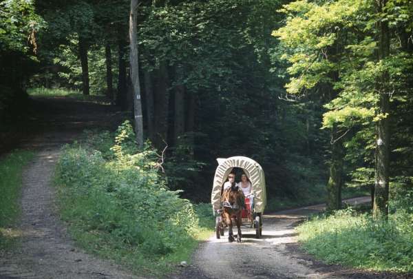 Horská idyla. Romský povoz ve Švýcarsku.