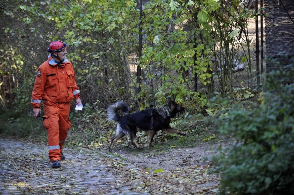 Policie pátrá po další pohřešované dívce z Prahy (ilustrační foto).