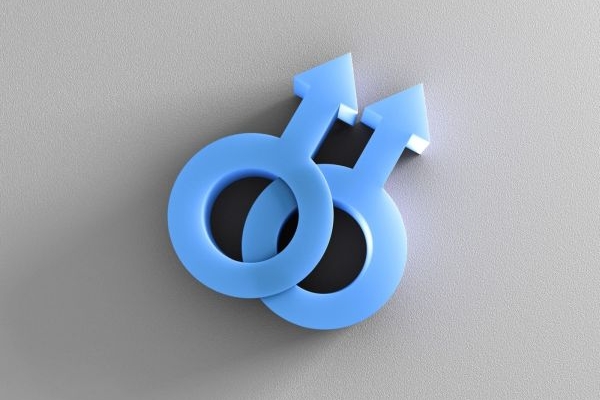 Pokud je v rodině více sester, je pravděpodobnější, že syn bude gay.