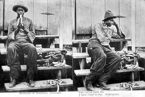 Amerika už banány objevila, střední Evropa v roce 1910 ještě neuměla vyřešit dovoz této rychle se kazící plodiny. 