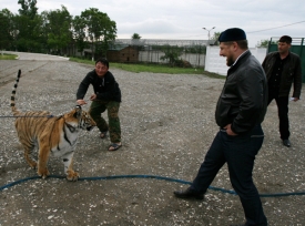 Pro Ramzana Kadyrova je Putin idolem, stejně jako on se nechává fotit jako chlapák.