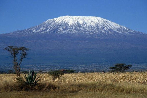 Nejvyšší africká hora Kilimandžáro. Nejvyšší africká hora Kilimandžáro.