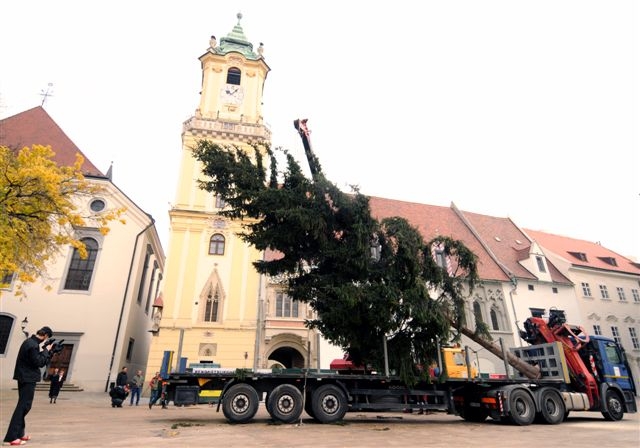 Vánoční krasavec z Bratislavy.