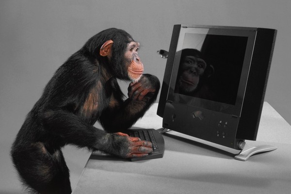 Šimpanze a člověka možná nedělí pět, ale osm milionů let nezávislé evoluce.