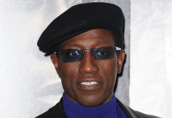 Herec Wesley Snipes musí nastoupit tříletý trest ve vězení.