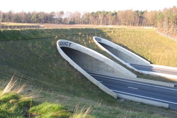 Hnutí Duha poukázalo na proplacené faktury za neexistující ekodukt (ilustrační foto).