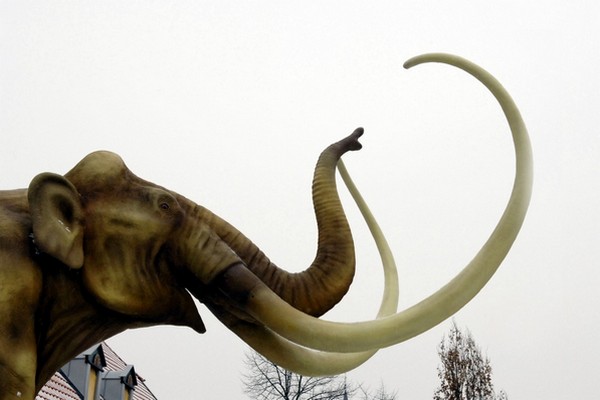 Největší savci v éře dinosaurů vážili 15 kilogramů. To se potom rychle změnilo.