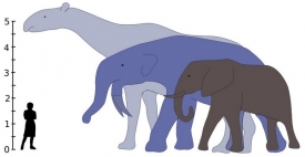 Největší savci historie, patnáctitunové Indricotherium (před 37-23 miliony lety) a sedmnáctitunové Deinotherium (před 8,5-2,7 milionu let), v porovnání se slonem a člověkem.