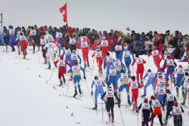 MS v Liberci 2009 (ilustrační foto).