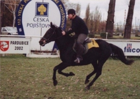 Nový poslanec za VV jezdí na koni a organizuje Velkou pardubickou.