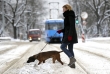 Na řadě míst byly přerušeny autobusové linky a zamrzlé výhybky ztěžovaly provoz tramvají. Snímek je z blízkosti Pražského hradu. 