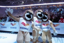 Liberec 2009 (ilustrační foto).