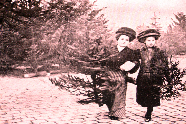 Dámy si nesou domů z trhu vánoční stromečky, v košíku možná raka či kapra. Snímek z Českého světa, Vánoce 1910.