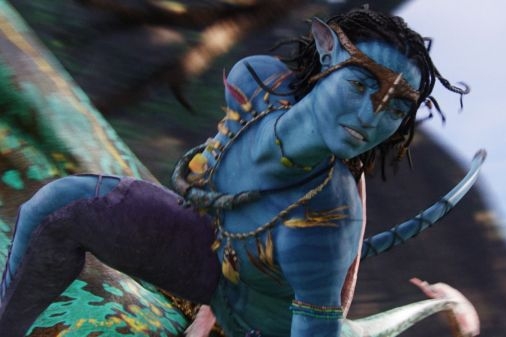 Avatar se letos stal pirátskou "modlou". Avatar se letos stal pirátskou "modlou".