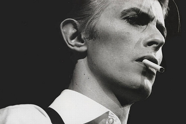 David Bowie zamlada.