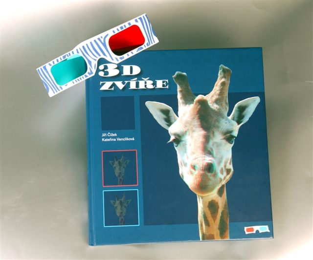 Vlna 3D s sebou nenese jen pozitiva (ilustrační foto).