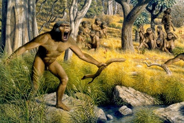 U australopitéků už zřejmě s péčí o potomstvo pomáhali matkám i ostatní členové tlupy. U australopitéků už zřejmě s péčí o potomstvo pomáhali matkám i ostatní členové tlupy.