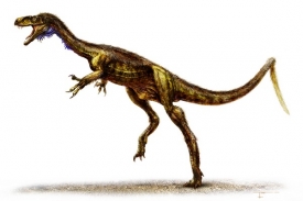Eodromaeus murphi, nejstarší známý dravý dinosaurus.