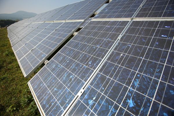 Solární elektrárny loni na českých polích bujely jako houby po dešti.