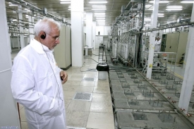 Za výpadky íránských centrifug byl patrně virus z Izraele.