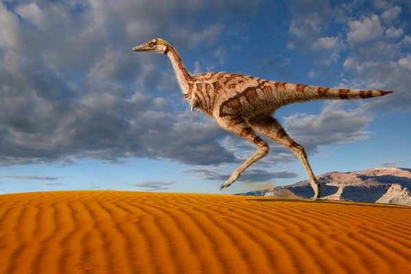 Linhenykus jediný známý jednoprstý dinosaurus.