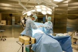 Odchodem tisíců doktorů z nemocnic může být od března výrazně zasažena především akutní péče.