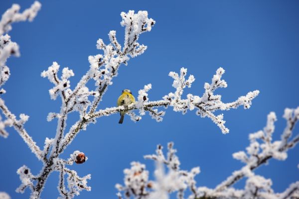 Na jaro si podle meteorologů ještě počkáme.
