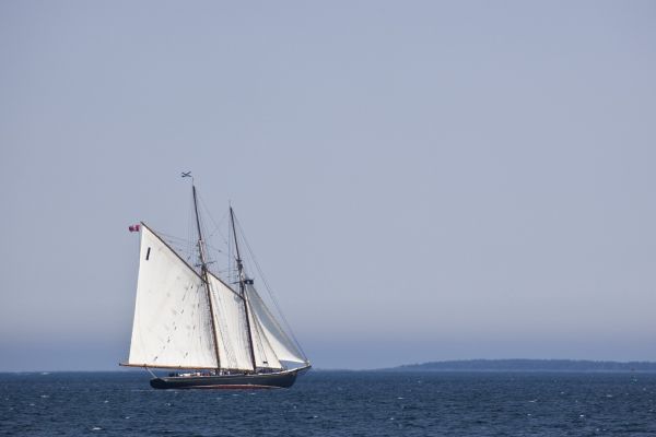 Plachetnice (ilustrační foto).