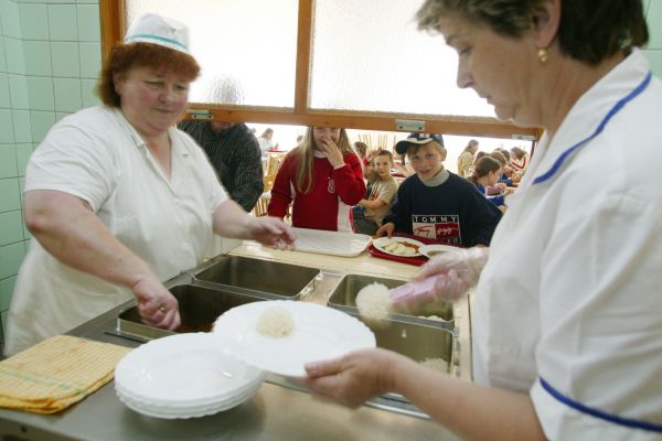 Platy kuchařek klesly až o 40 procent. Platy kuchařek klesly až o 40 procent.
