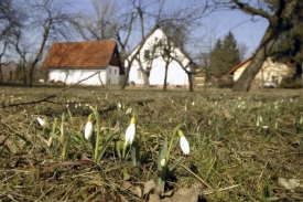 Mírné, téměř jarní klima přimělo mnoho lidí ke generálnímu úklidu zahrádek. Včetně spalování suché trávy a listí (ilustrační foto).