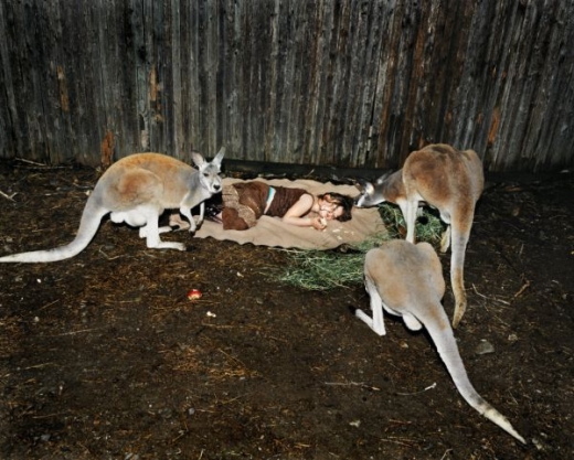 Fotografie vznikaly v zoologických zahradách státu Texas.