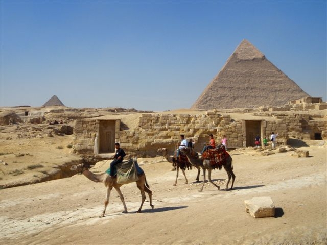 Egyptské velbloudy letos čeští turisté opouštějí (ilustrační foto).
