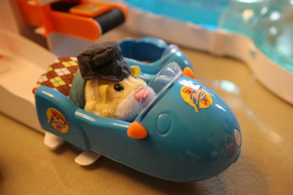 Zhu Zhu Pets svět vyhrál ocenění Hračka roku 2010.
