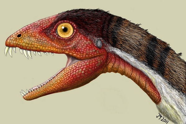 Rekonstrukce možné podoby druhu Daemonosaurus chauliodus.